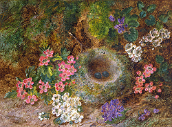Still Life of Blossoms and Bird\'s Nest - George Clare
