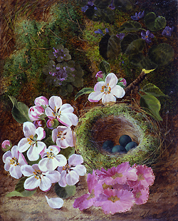 Still Life of Flowers and Bird\'s Nest - Oliver Clare