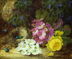 Still Life with Bird\'s Nest - Oliver Clare